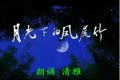 ★【父亲节】+月光下的凤尾竹★