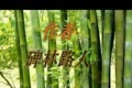【父亲节】月光下的凤尾竹（朗诵...