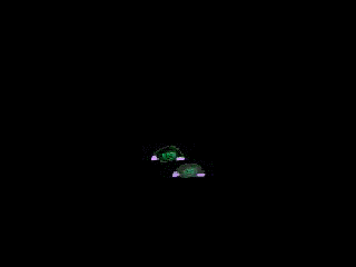 查看原图