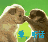 心如止水