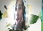 abcd_8866