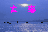 大海 大海