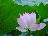 静听