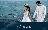 百合 百合