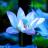 小芳