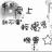 红叶潇潇 红叶潇潇