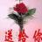 红月