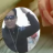 天寞