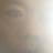 情歌