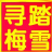 梅子