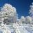 ☆雪天☆
