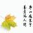 静音