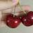 樱桃