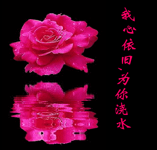 500_480gif 动态图 动图