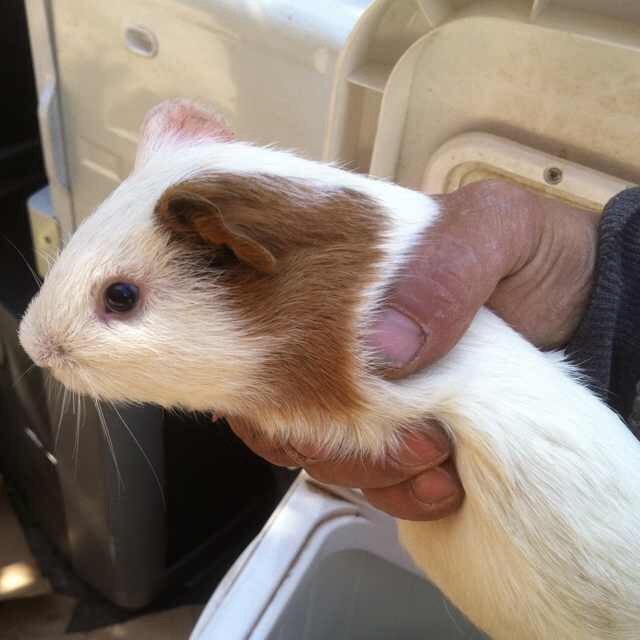 半斤少五两空间-图片-洋耗子